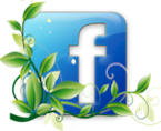 Facebook Page 